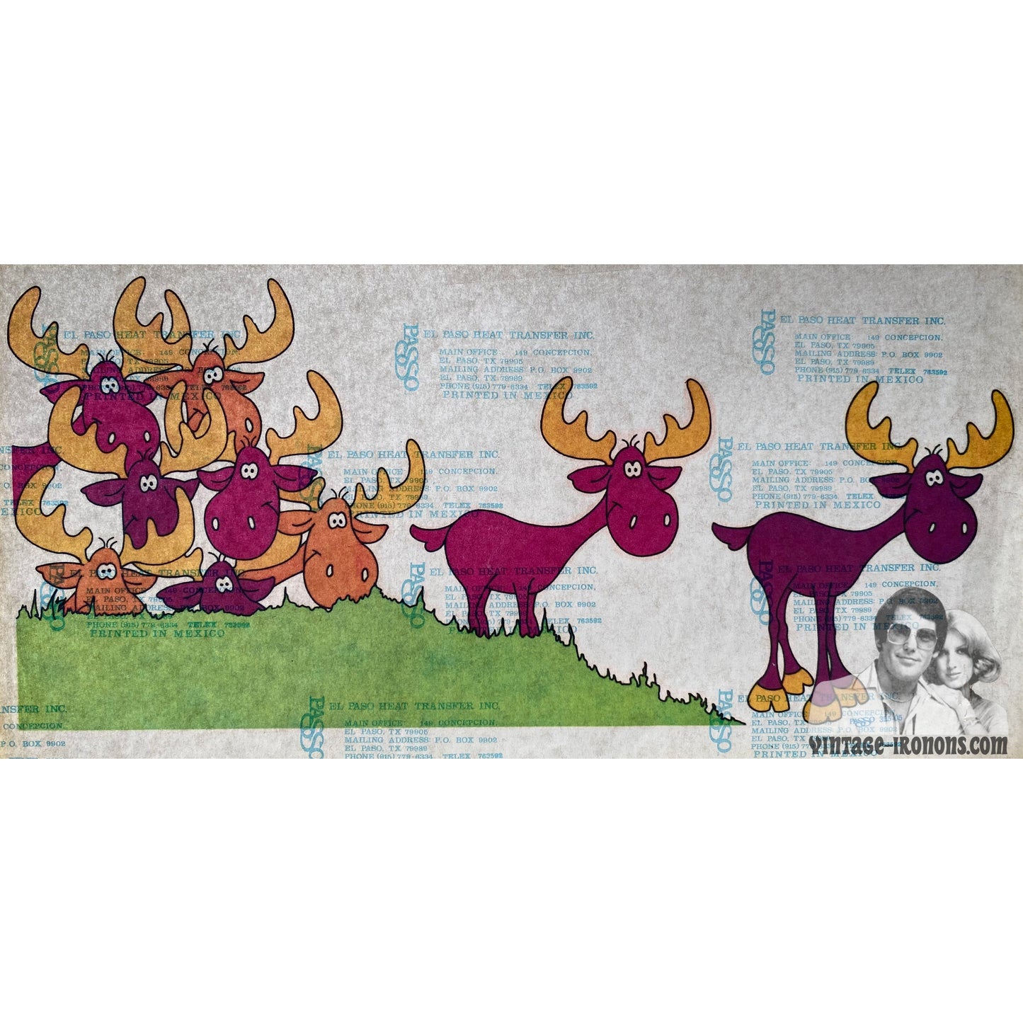 A Pack of Moose Vintage Iron On Heat Transfer